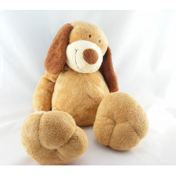 Doudou chien beige cocard écharpe bleu KIABI