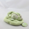 Doudou et compagnie plat rond ours Douceur Macaron vert pistache