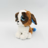 Doudou peluche chien marron blanc gros yeux brillant Duke TY