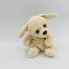 Doudou peluche chien beige écru gros yeux