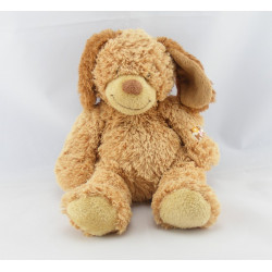 Doudou peluche ours beige marron Pop Kids KIABI