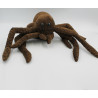 Peluche araignée Aragog HARRY POTTER WARNER BROS