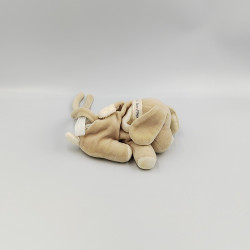Doudou attache tétine chien beige blanc SUCRE D'ORGE