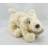 Doudou et compagnie chien couché blanc marron