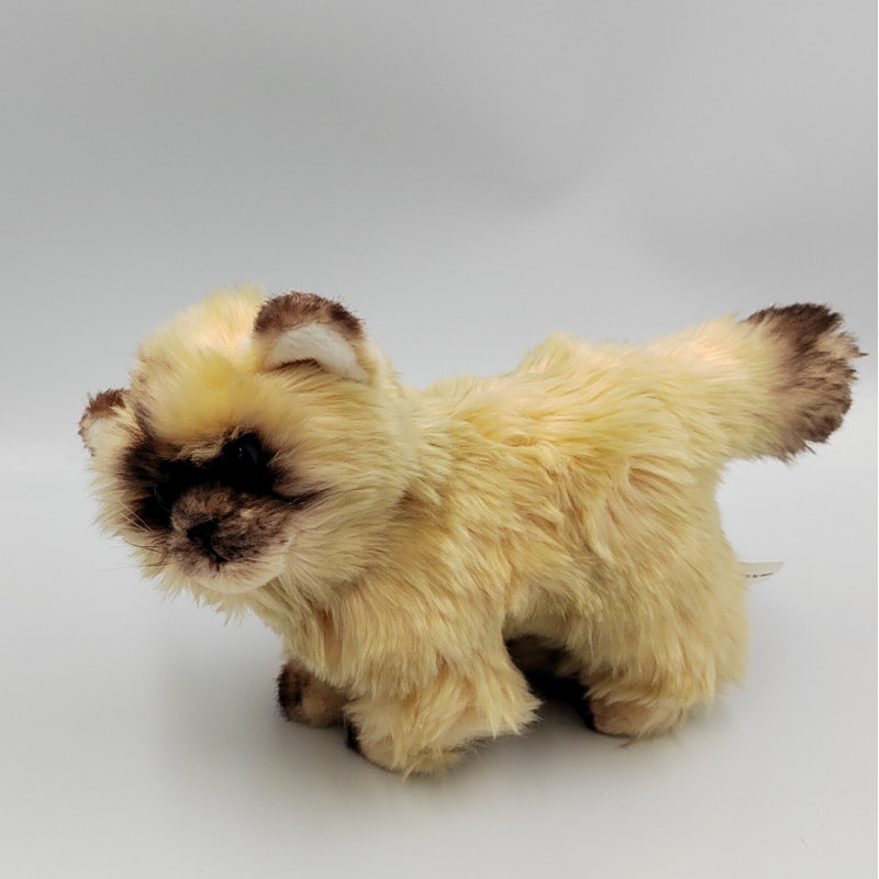 Peluche chat beige marron OTTO SIMON