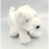 Doudou peluche chien blanc GIPSY