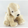 Doudou chien beige H ET M HM